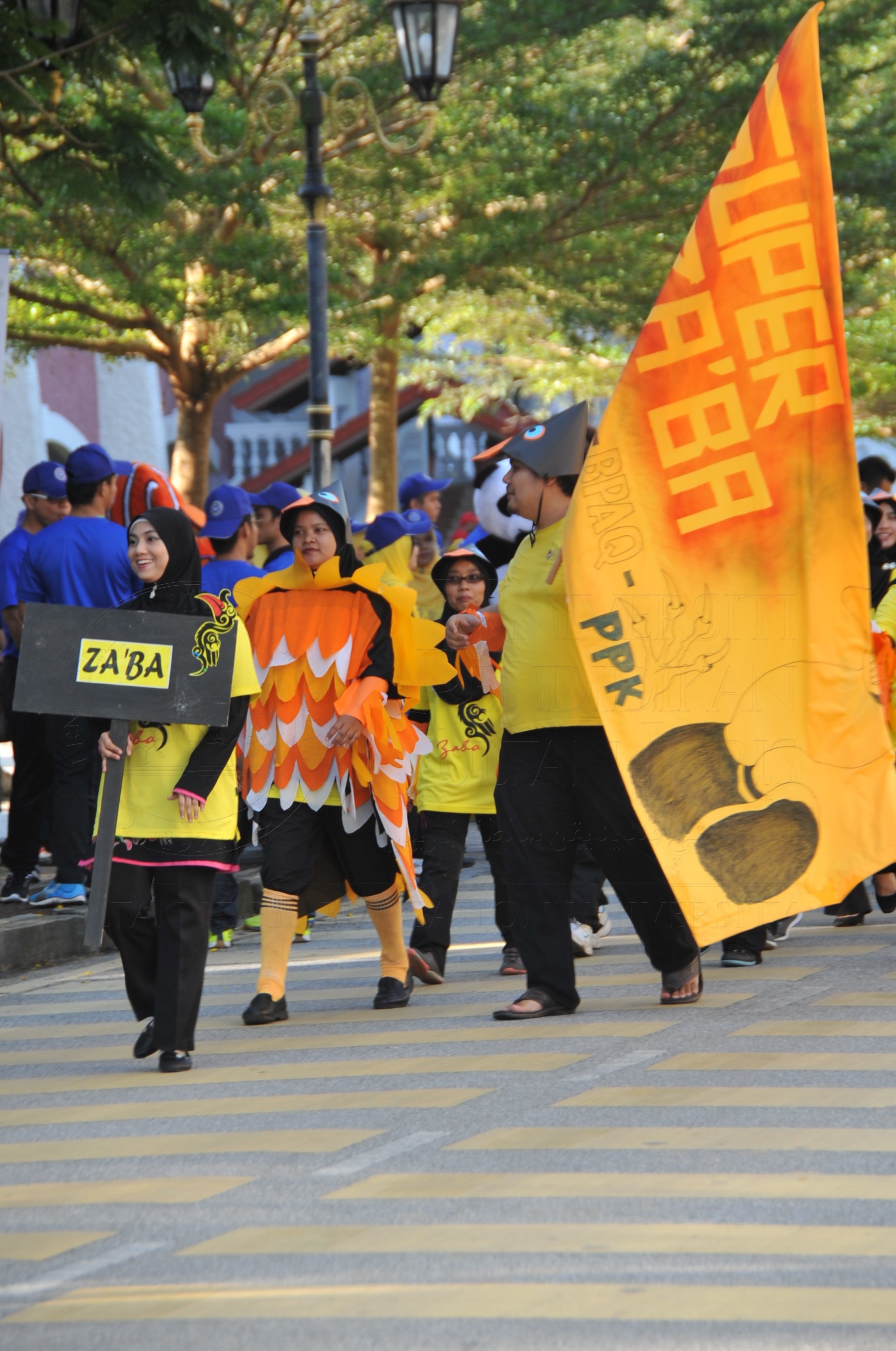 PRO 15 53 KIESTA HAS 3407